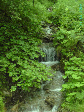 doris_staerz_kinesiologie2004001.jpg